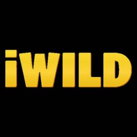 iWild najlepsze kasyna internetowe